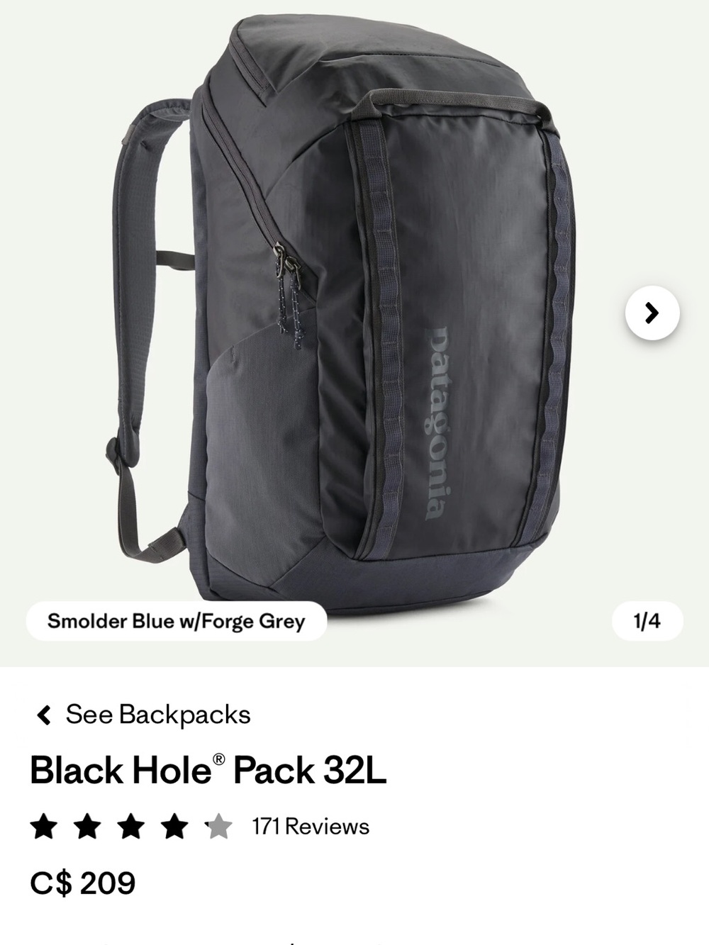 Patagonia Black Hole Pack 32L